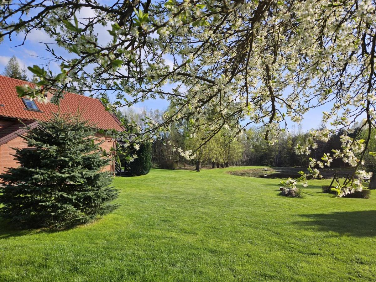 Villa Orlik Mazury Stare Jabłonki Exterior foto